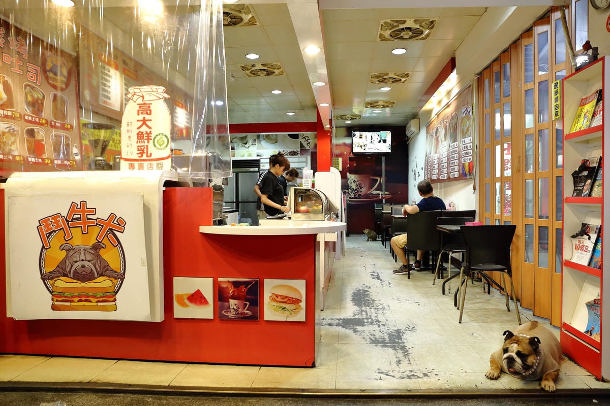 【食||板橋】鬥牛犬碳烤吐司〜板橋宵夜新風潮！好吃的碳烤三明治，貓狗店長坐檯陪你吃！