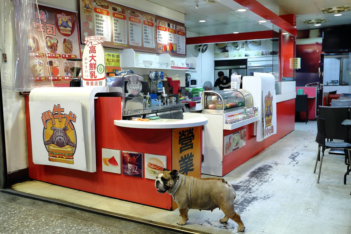 【食||板橋】鬥牛犬碳烤吐司〜板橋宵夜新風潮！好吃的碳烤三明治，貓狗店長坐檯陪你吃！