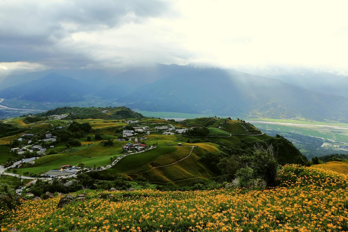 【遊||花蓮】一生一定要來感動一次的無敵美景～花蓮六十石山金針花季最新花況！