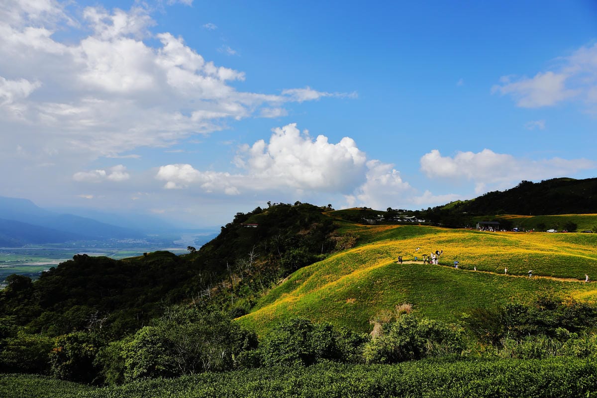 【遊||花蓮】一生一定要來感動一次的無敵美景～花蓮六十石山金針花季最新花況！