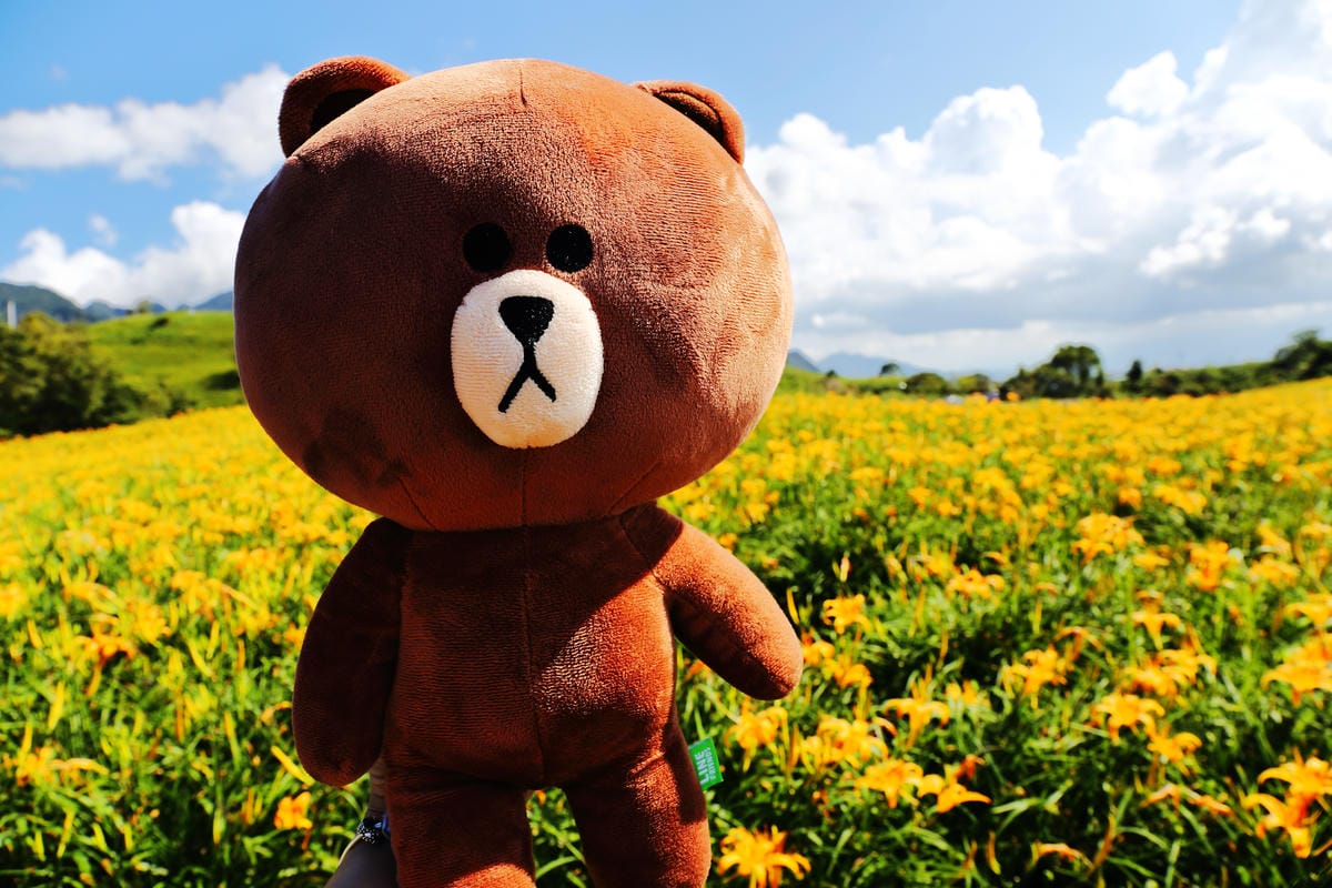 【遊||花蓮】一生一定要來感動一次的無敵美景～花蓮六十石山金針花季最新花況！