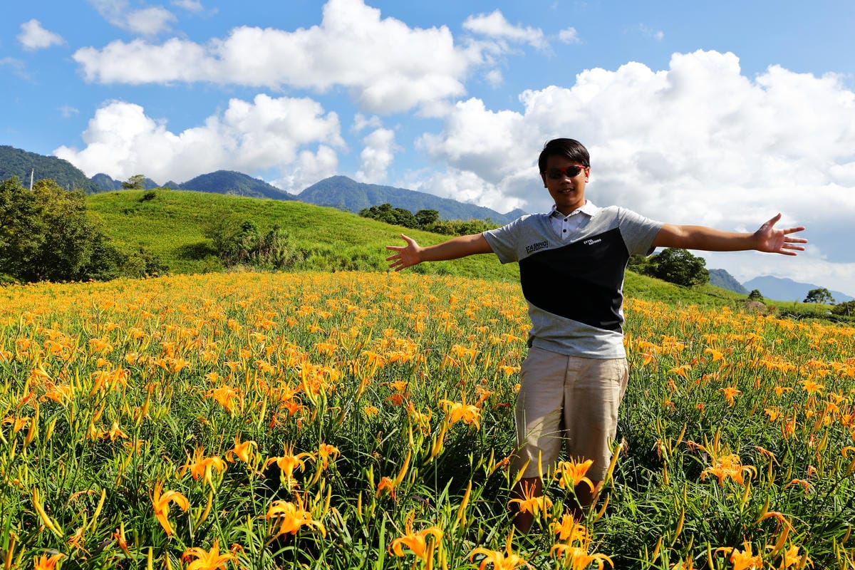 【遊||花蓮】一生一定要來感動一次的無敵美景～花蓮六十石山金針花季最新花況！