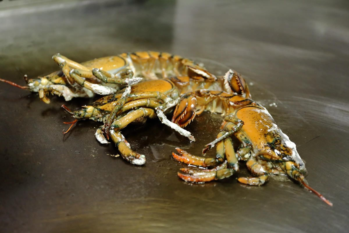 【食||台北】百家樂鐵板燒〜台北鐵板燒。精緻鐵板料理，高CP值海陸全餐，就是給你一整隻活龍蝦！