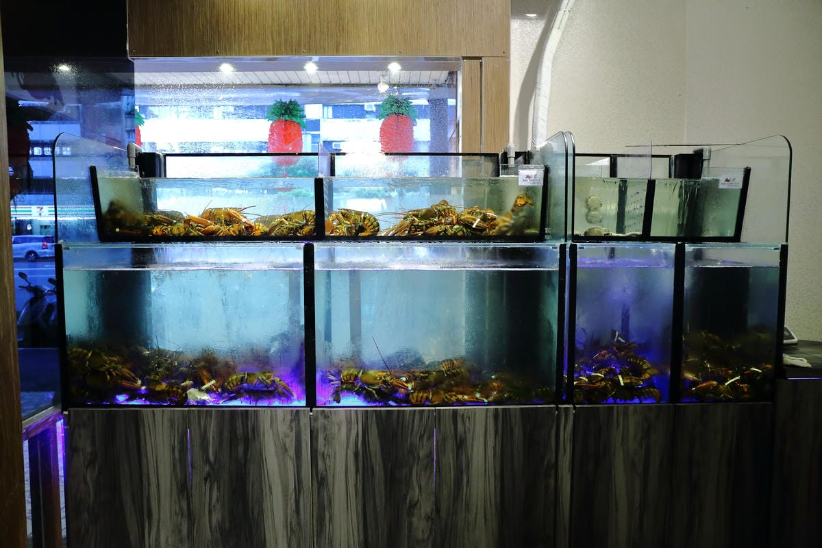 【食||台北】百家樂鐵板燒〜台北鐵板燒。精緻鐵板料理，高CP值海陸全餐，就是給你一整隻活龍蝦！