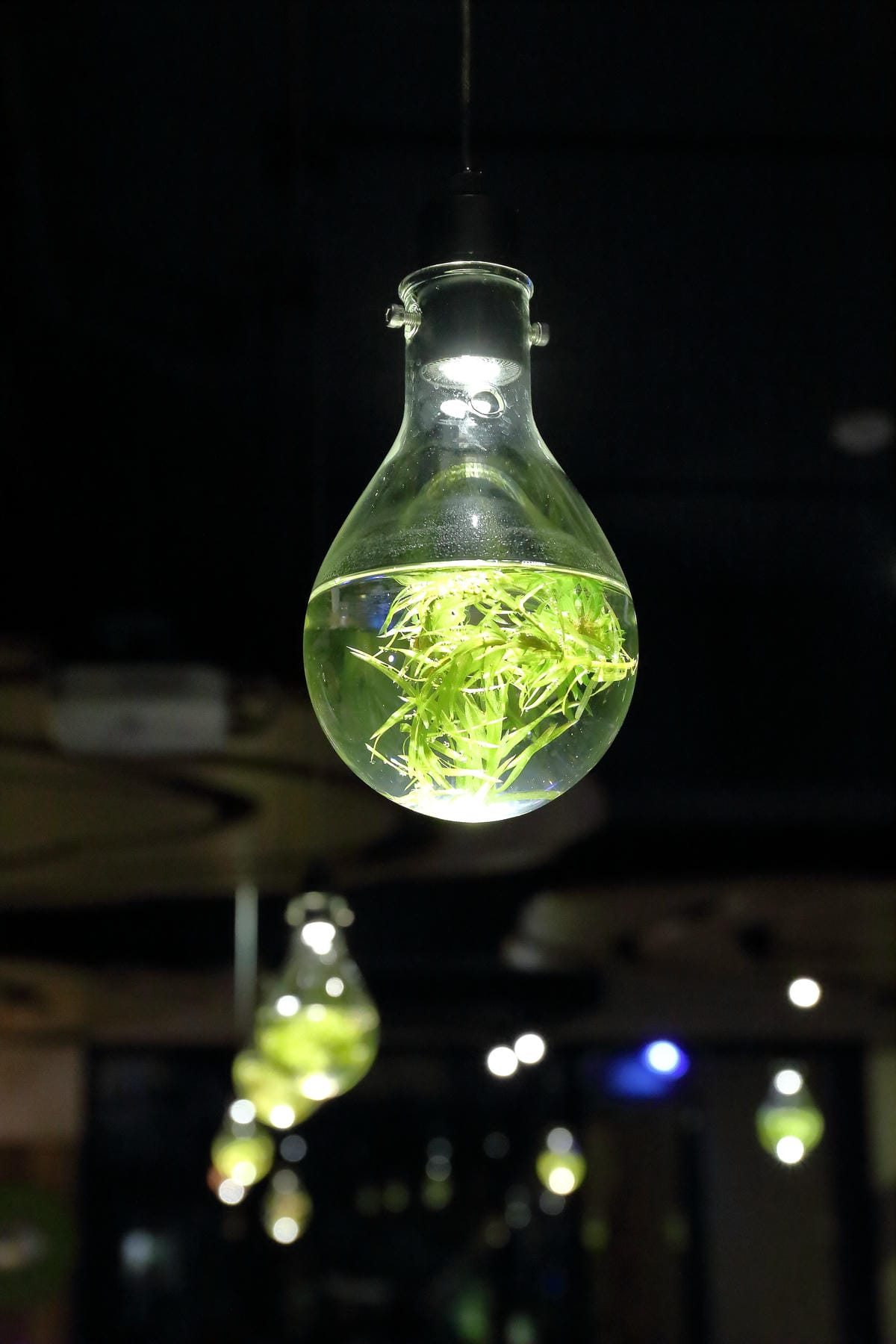 【食||宜蘭】日光私廚～藏在民宿裡的美味料理，親身栽培不灑農藥，選用在地新鮮食材，一種健康飲食吃法！（文末贈獎）　