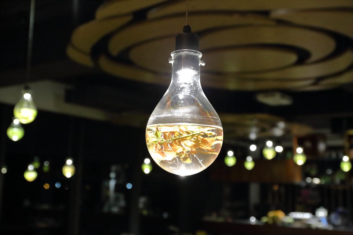 【食||宜蘭】日光私廚～藏在民宿裡的美味料理，親身栽培不灑農藥，選用在地新鮮食材，一種健康飲食吃法！（文末贈獎）　