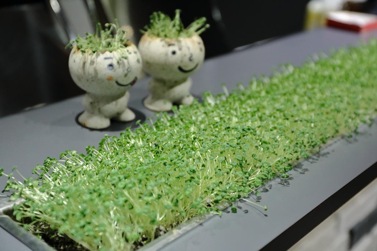 【食||宜蘭】日光私廚～藏在民宿裡的美味料理，親身栽培不灑農藥，選用在地新鮮食材，一種健康飲食吃法！（文末贈獎）　