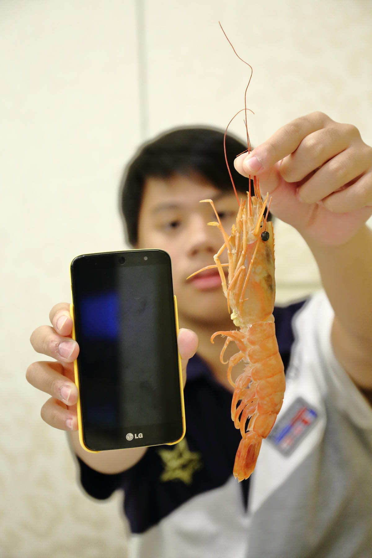 【食。板橋】樂聚鍋物〜板橋火鍋新開幕。一共9種海鮮的無敵海鮮盤，超澎湃又超高CP值的海陸火鍋！(已歇業)