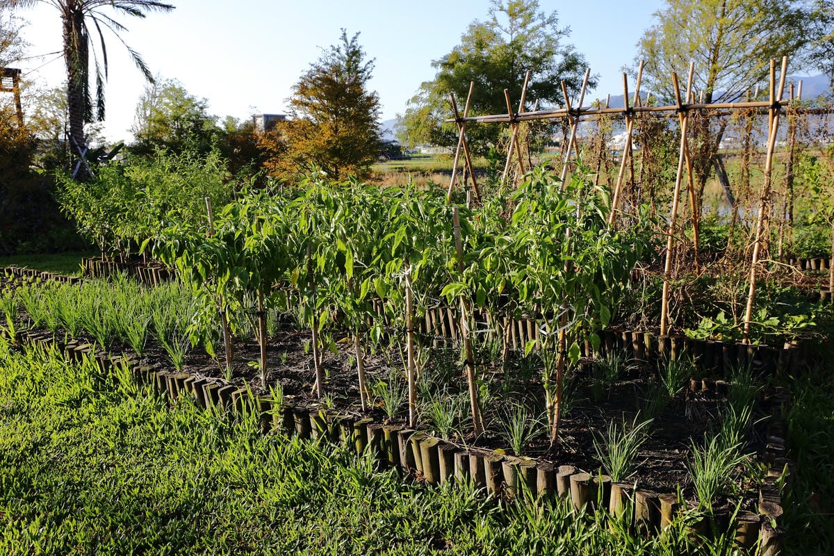 【宿。宜蘭】樂健活 日光綠築〜坐擁綠意盎然的稻田美景，來這兒擁抱大自然渡假吧！