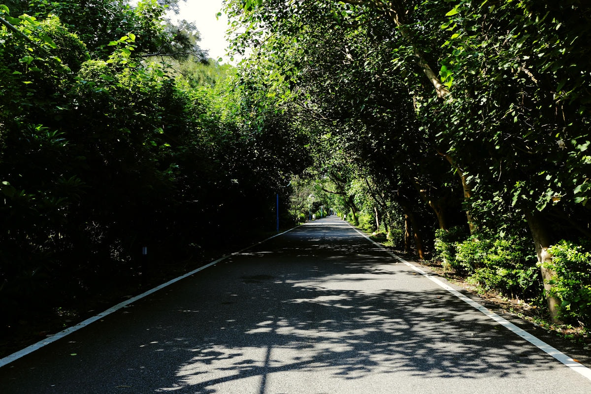 【遊。桃園】2016桃園地景藝術節〜放假就要出去玩,來場藝術小旅行!