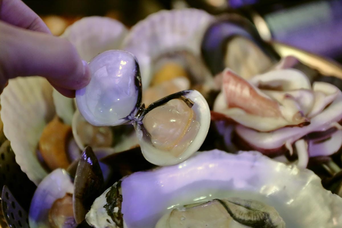 【食。台北】Pocha 韓式熱炒 포차～東區韓式熱炒 2店。不用飛韓國就可以吃到海鮮貝類鍋，海鮮多到滿出來……