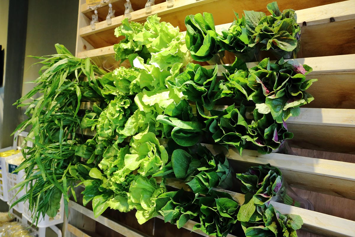 【食。台中】Veges M 饗蔬職人（一中參代店）～獨領風潮，蔬食滷味新概念！自製獨門配方滷汁，原來蔬食也可以這樣吃！