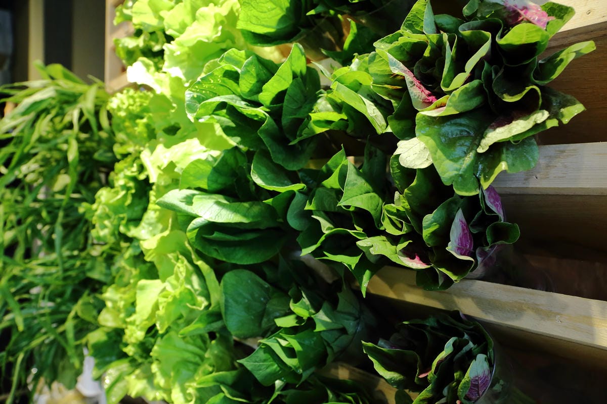 【食。台中】Veges M 饗蔬職人（一中參代店）～獨領風潮，蔬食滷味新概念！自製獨門配方滷汁，原來蔬食也可以這樣吃！