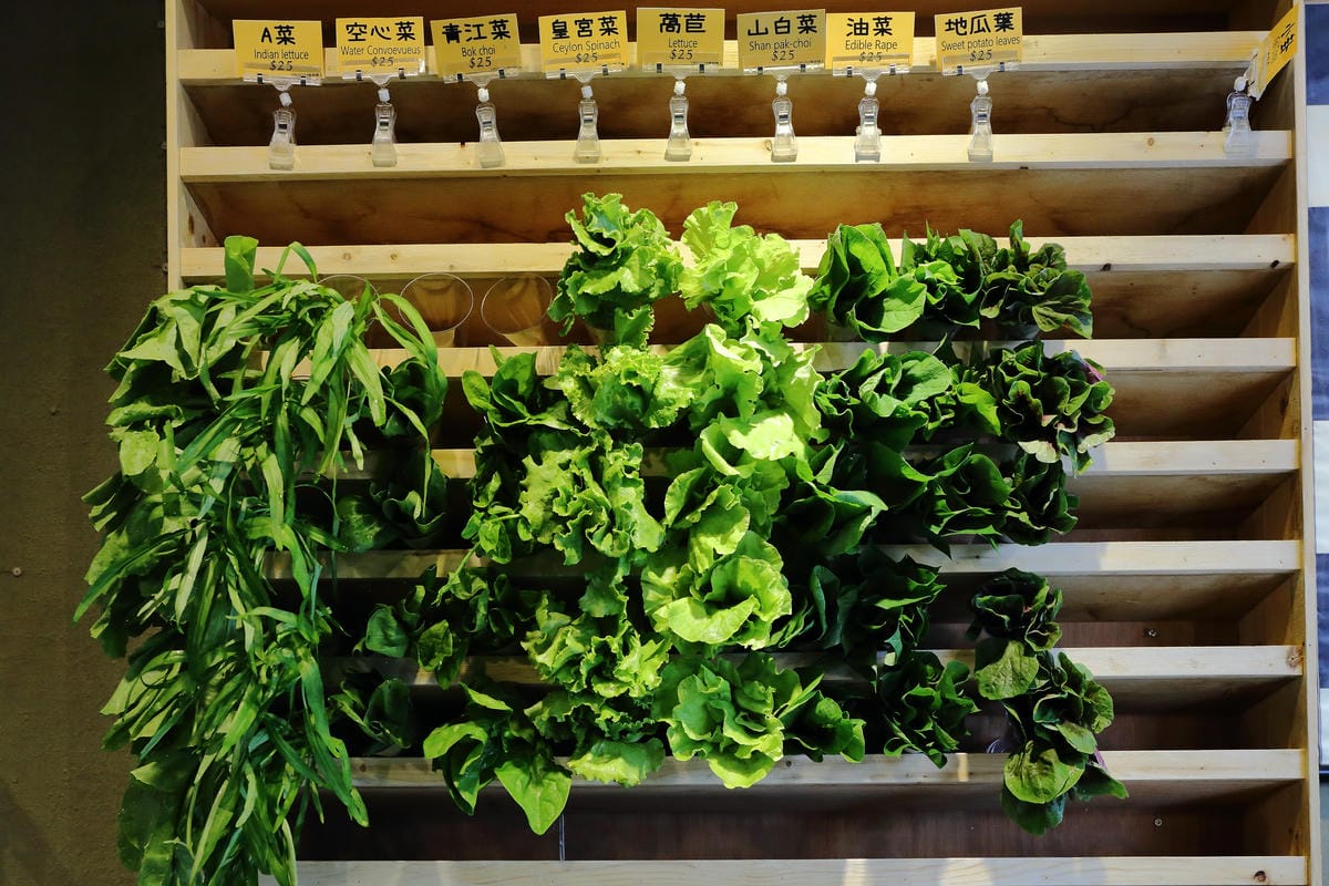 【食。台中】Veges M 饗蔬職人（一中參代店）～獨領風潮，蔬食滷味新概念！自製獨門配方滷汁，原來蔬食也可以這樣吃！