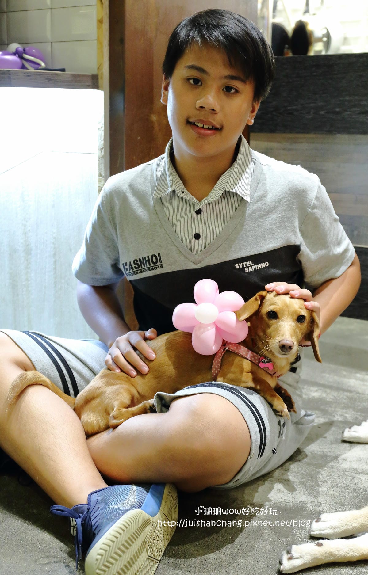 【食。永和】捲尾巴寵物友善餐廳X複合式小酒館～有柴犬店長陪吃飯，萌指數破表！老闆手作創意料理，還有意想不到的限量菜色喔！