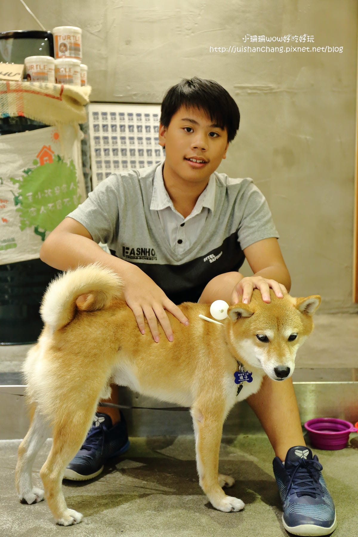 【食。永和】捲尾巴寵物友善餐廳X複合式小酒館～有柴犬店長陪吃飯，萌指數破表！老闆手作創意料理，還有意想不到的限量菜色喔！