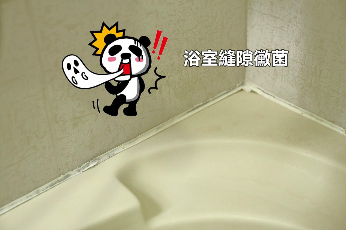 【台北居家清潔】家立淨～大掃除啦！妳(你)有多龜毛啊？！清潔達人到府清潔，打掃輕鬆解決！