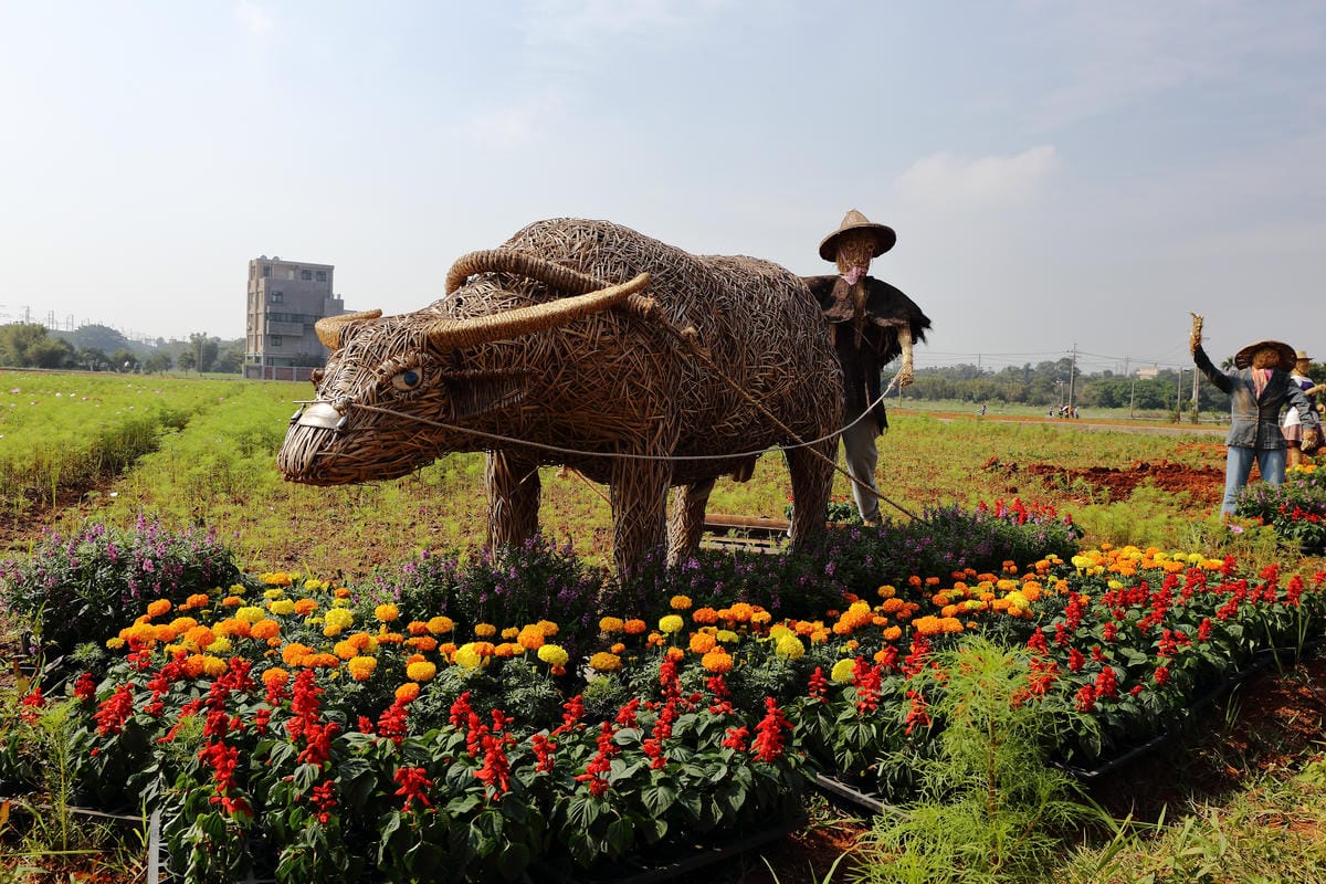 【遊。桃園】2016桃園花彩節～桃園5大花區，輪流綻放，遇見冬季最美的幸福！（大溪區+中壢區搶先看）　
