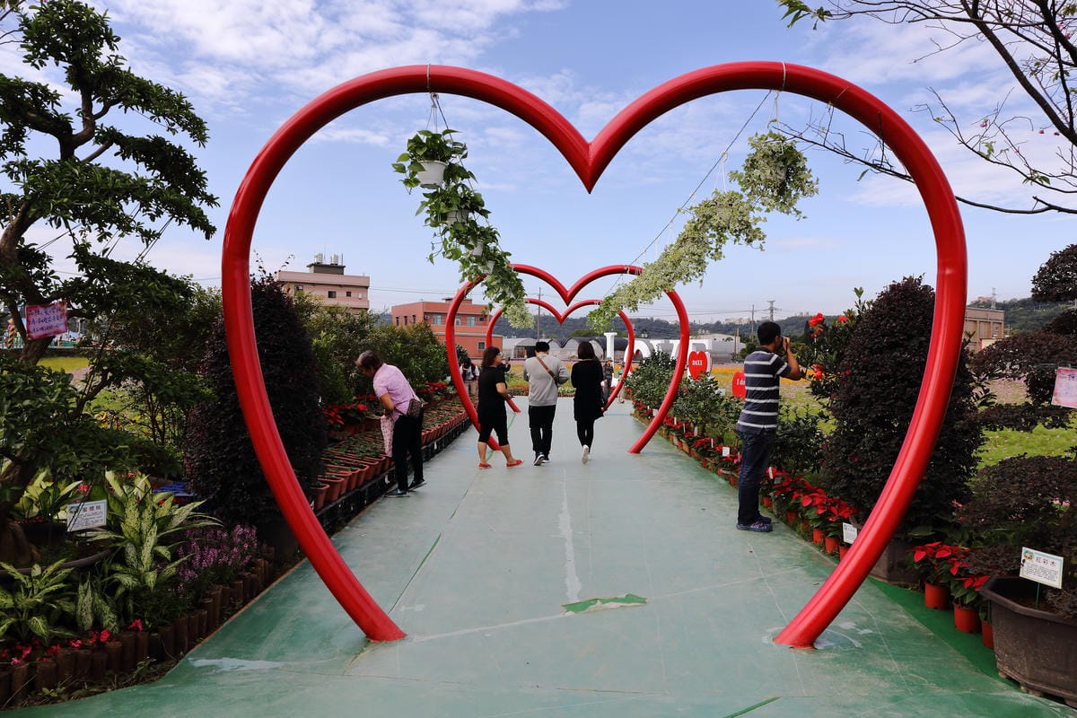 【遊。桃園】2016桃園花彩節～桃園5大花區，輪流綻放，遇見冬季最美的幸福！（大溪區+中壢區搶先看）　
