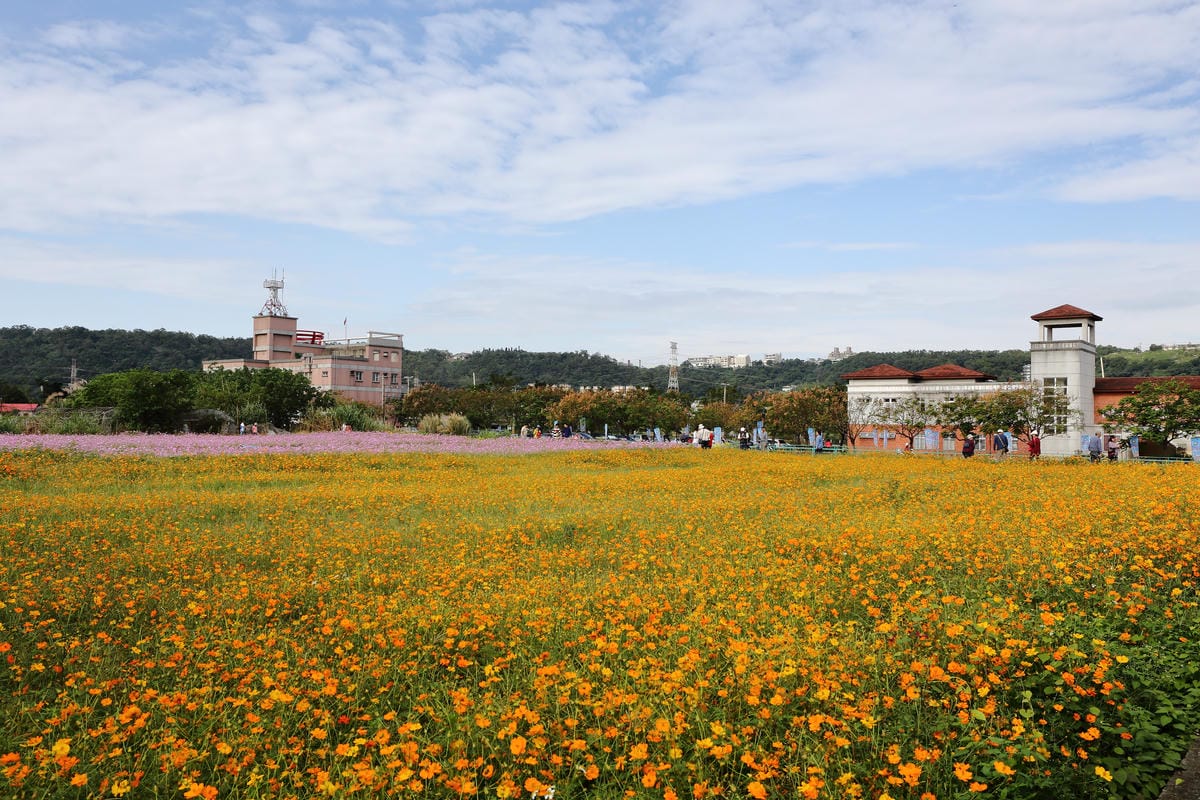【遊。桃園】2016桃園花彩節～桃園5大花區，輪流綻放，遇見冬季最美的幸福！（大溪區+中壢區搶先看）　