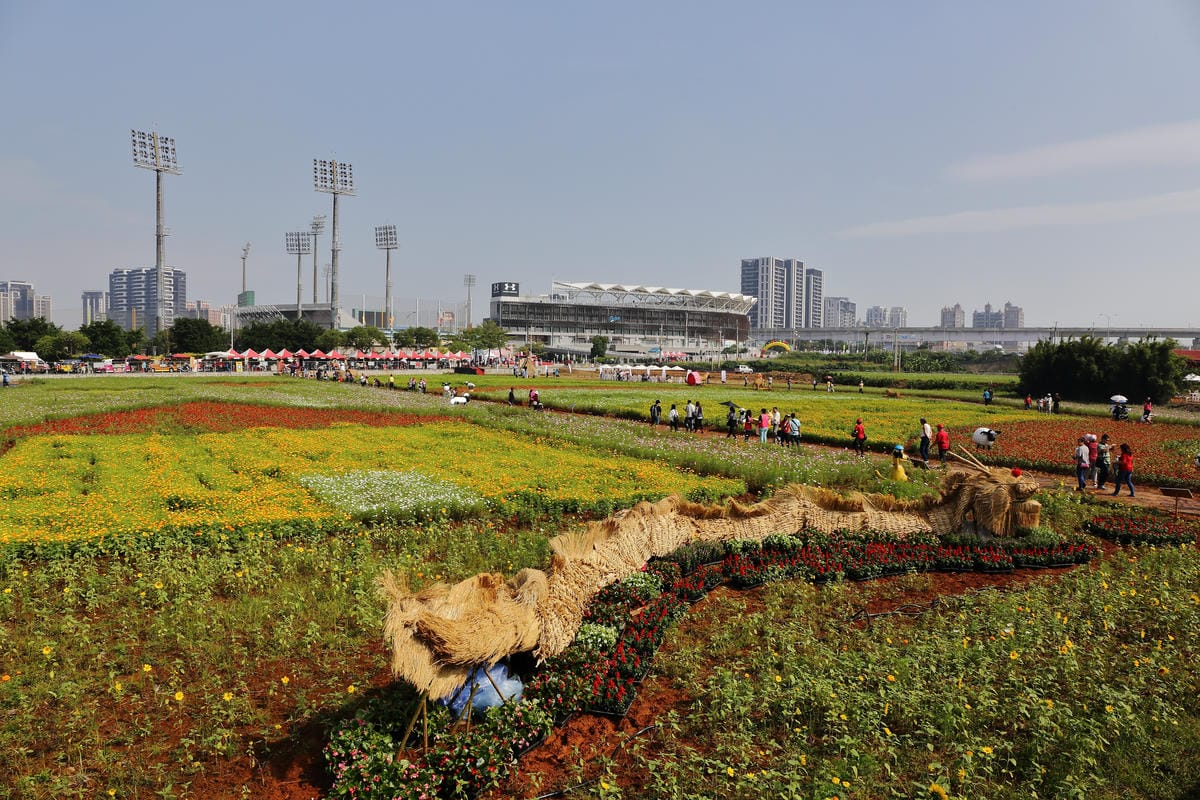 【遊。桃園】2016桃園花彩節～桃園5大花區，輪流綻放，遇見冬季最美的幸福！（大溪區+中壢區搶先看）　