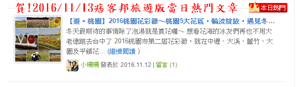 【遊。桃園】2016桃園花彩節～桃園5大花區，輪流綻放，遇見冬季最美的幸福！（大溪區+中壢區搶先看）　