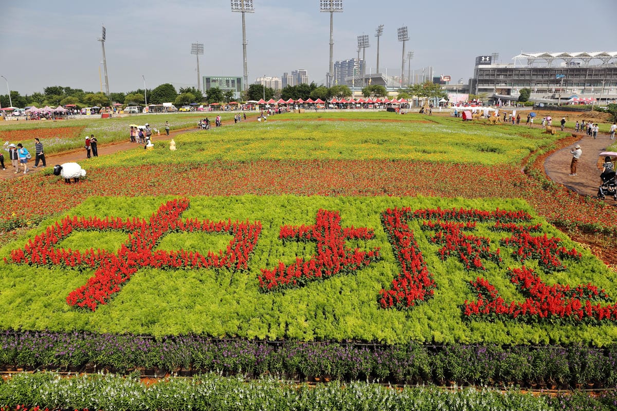 【遊。桃園】2016桃園花彩節～桃園5大花區，輪流綻放，遇見冬季最美的幸福！（大溪區+中壢區搶先看）　