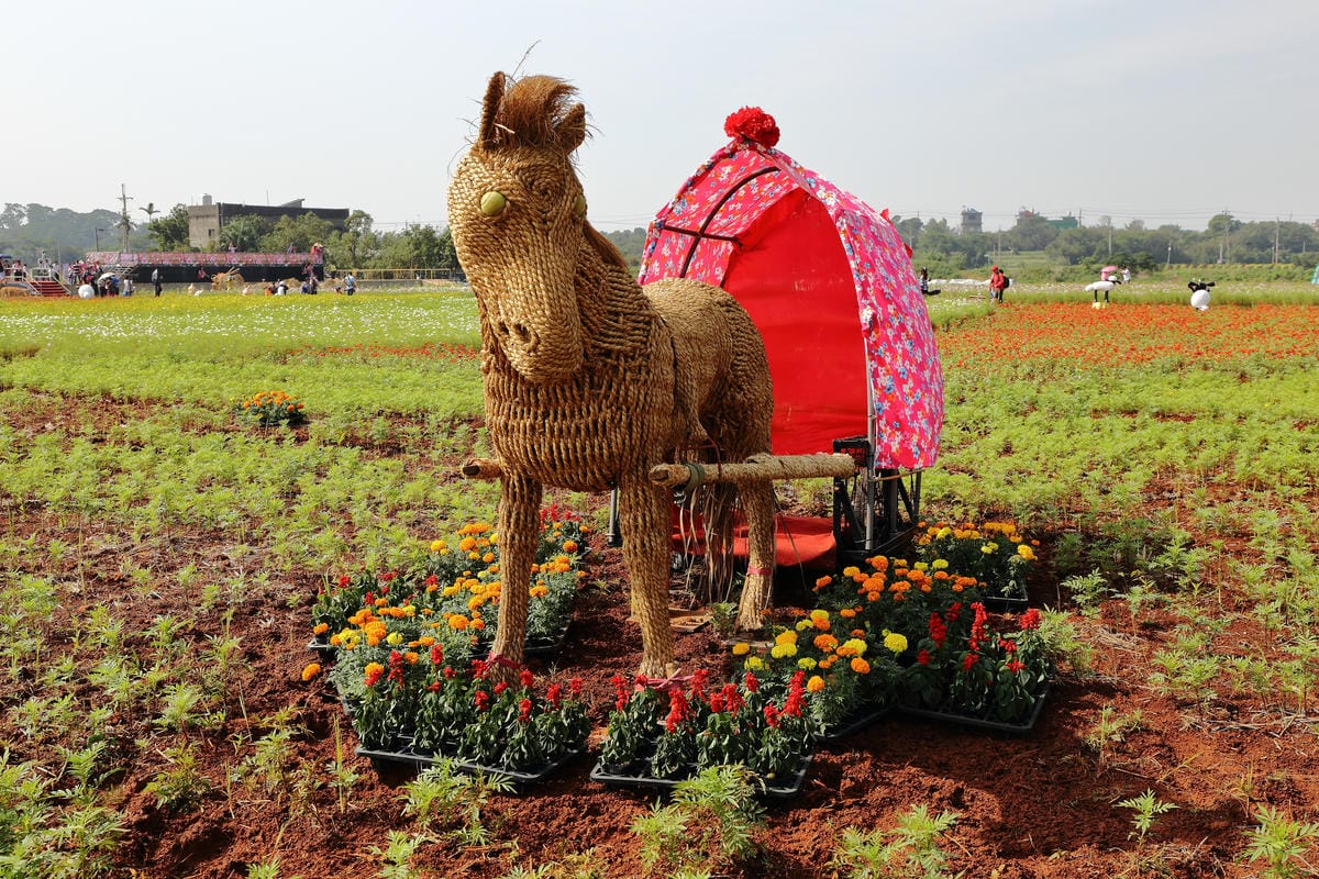 【遊。桃園】2016桃園花彩節～桃園5大花區，輪流綻放，遇見冬季最美的幸福！（大溪區+中壢區搶先看）　