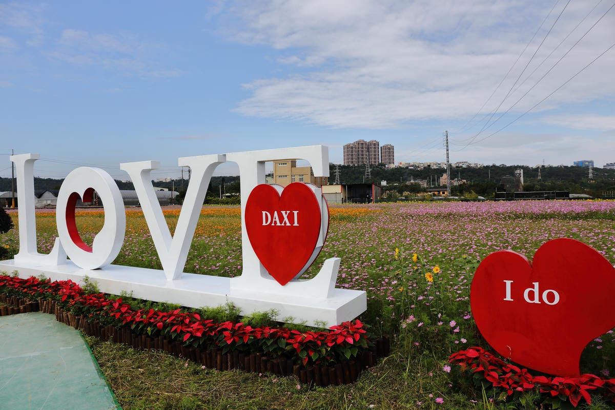 【遊。桃園】2016桃園花彩節～桃園5大花區，輪流綻放，遇見冬季最美的幸福！（大溪區+中壢區搶先看）　