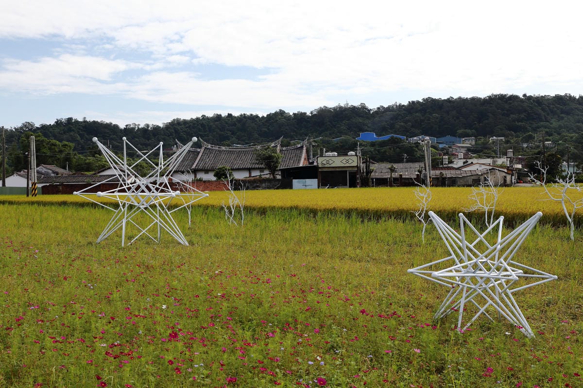 【遊。桃園】2016桃園花彩節～桃園5大花區，輪流綻放，遇見冬季最美的幸福！（大溪區+中壢區搶先看）　