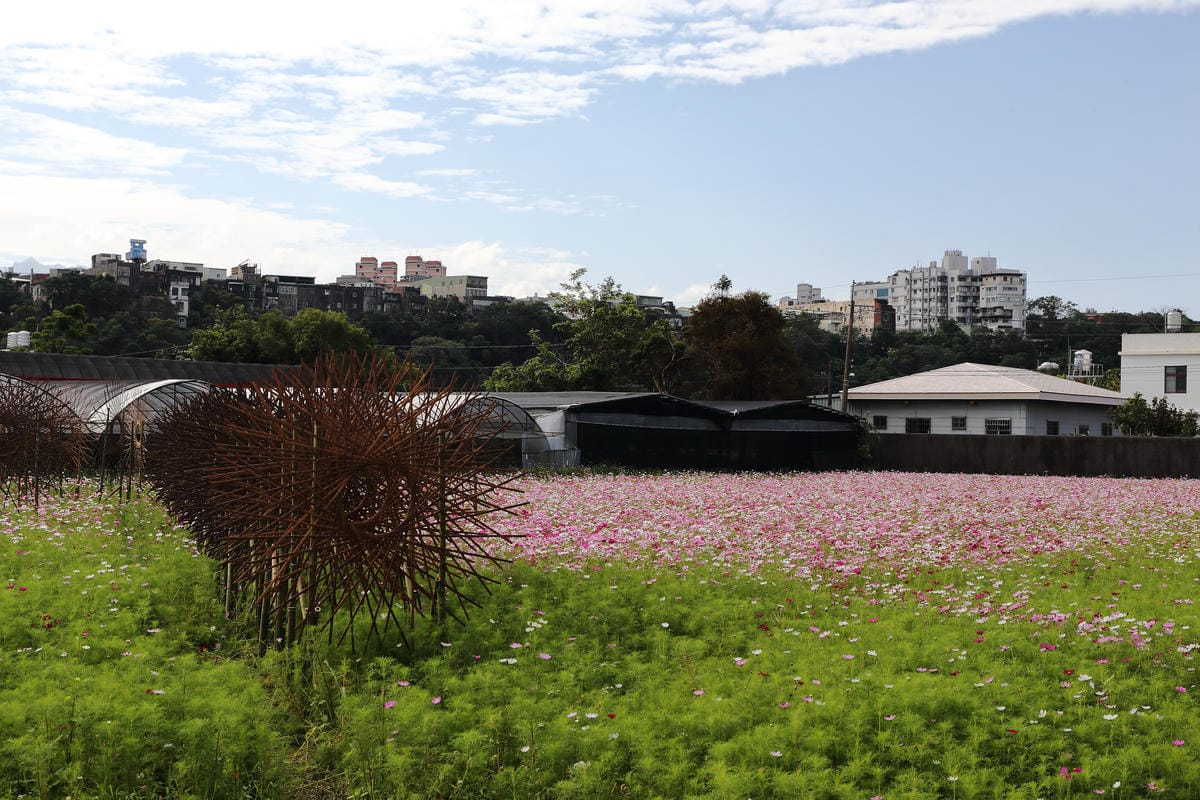 【遊。桃園】2016桃園花彩節～桃園5大花區，輪流綻放，遇見冬季最美的幸福！（大溪區+中壢區搶先看）　