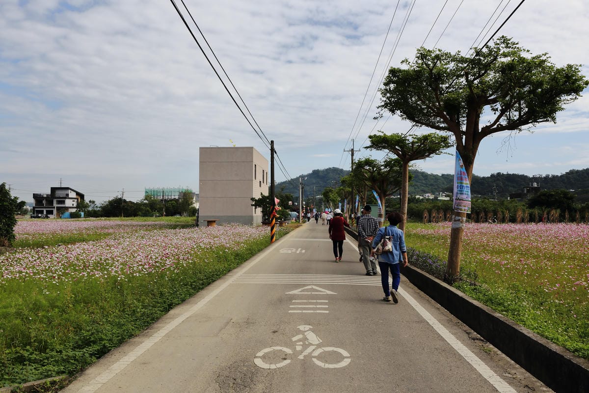 【遊。桃園】2016桃園花彩節～桃園5大花區，輪流綻放，遇見冬季最美的幸福！（大溪區+中壢區搶先看）　