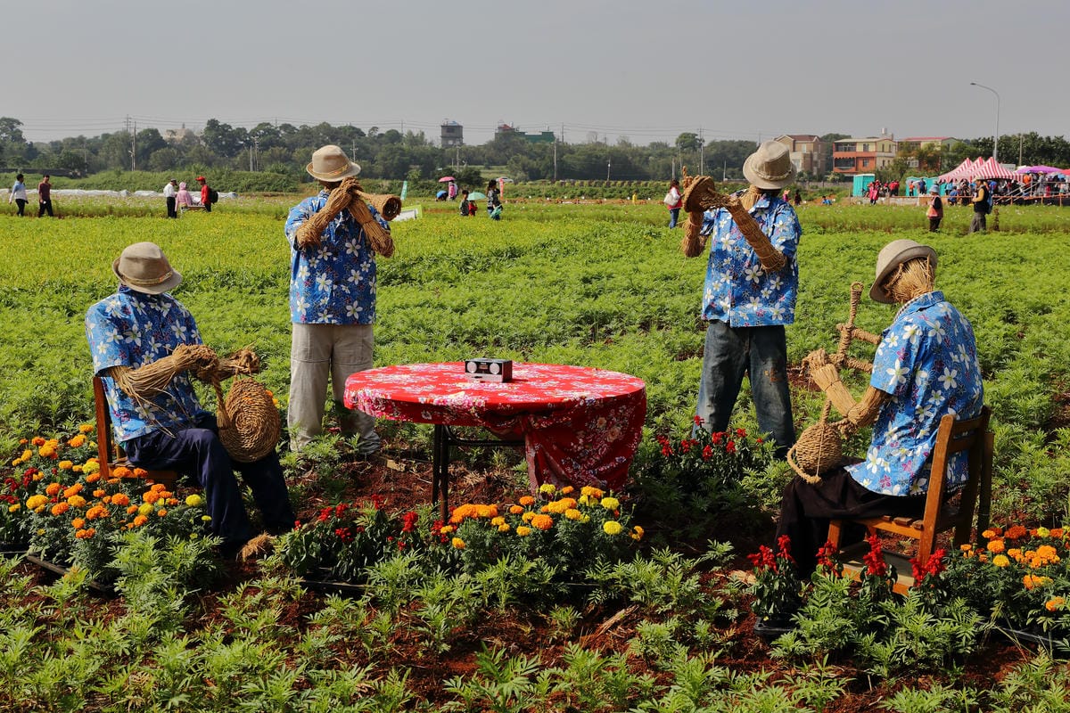 【遊。桃園】2016桃園花彩節～桃園5大花區，輪流綻放，遇見冬季最美的幸福！（大溪區+中壢區搶先看）　