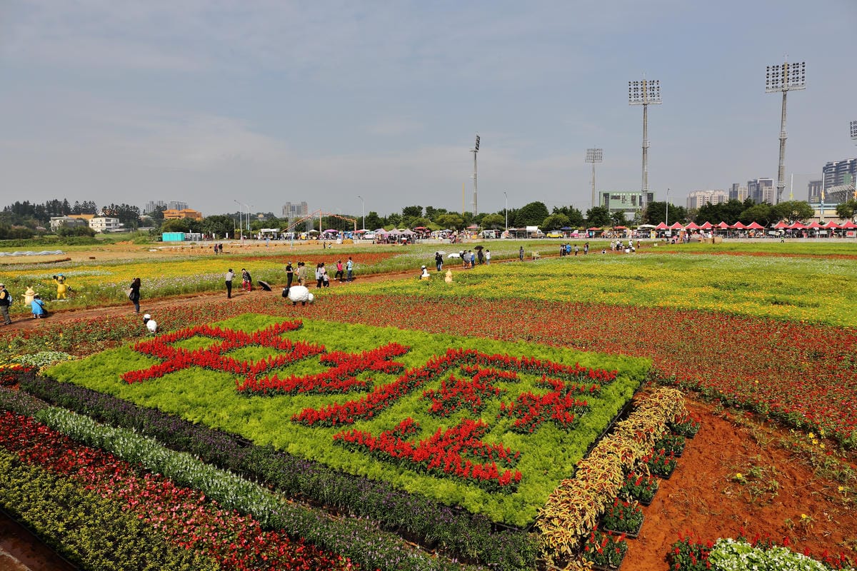 【遊。桃園】2016桃園花彩節～桃園5大花區，輪流綻放，遇見冬季最美的幸福！（大溪區+中壢區搶先看）　
