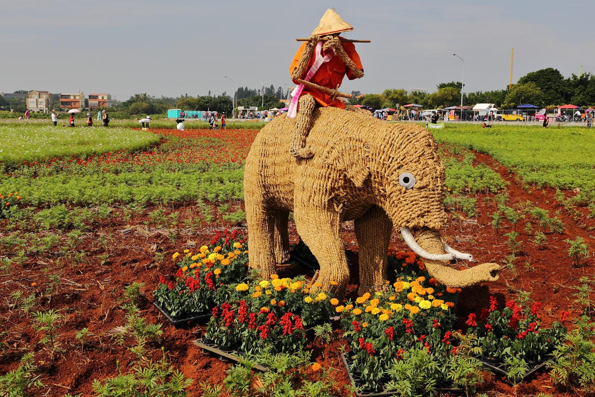 【遊。桃園】2016桃園花彩節～桃園5大花區，輪流綻放，遇見冬季最美的幸福！（大溪區+中壢區搶先看）　