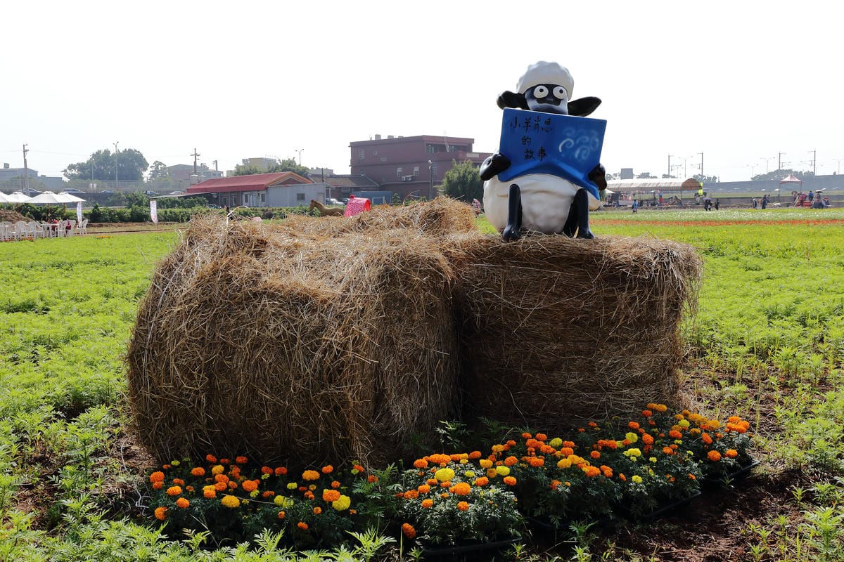 【遊。桃園】2016桃園花彩節～桃園5大花區，輪流綻放，遇見冬季最美的幸福！（大溪區+中壢區搶先看）　