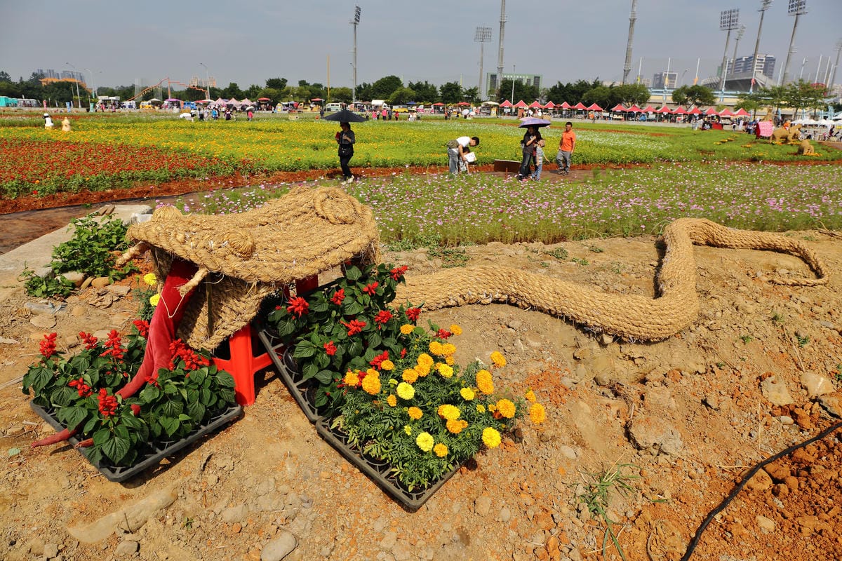 【遊。桃園】2016桃園花彩節～桃園5大花區，輪流綻放，遇見冬季最美的幸福！（大溪區+中壢區搶先看）　