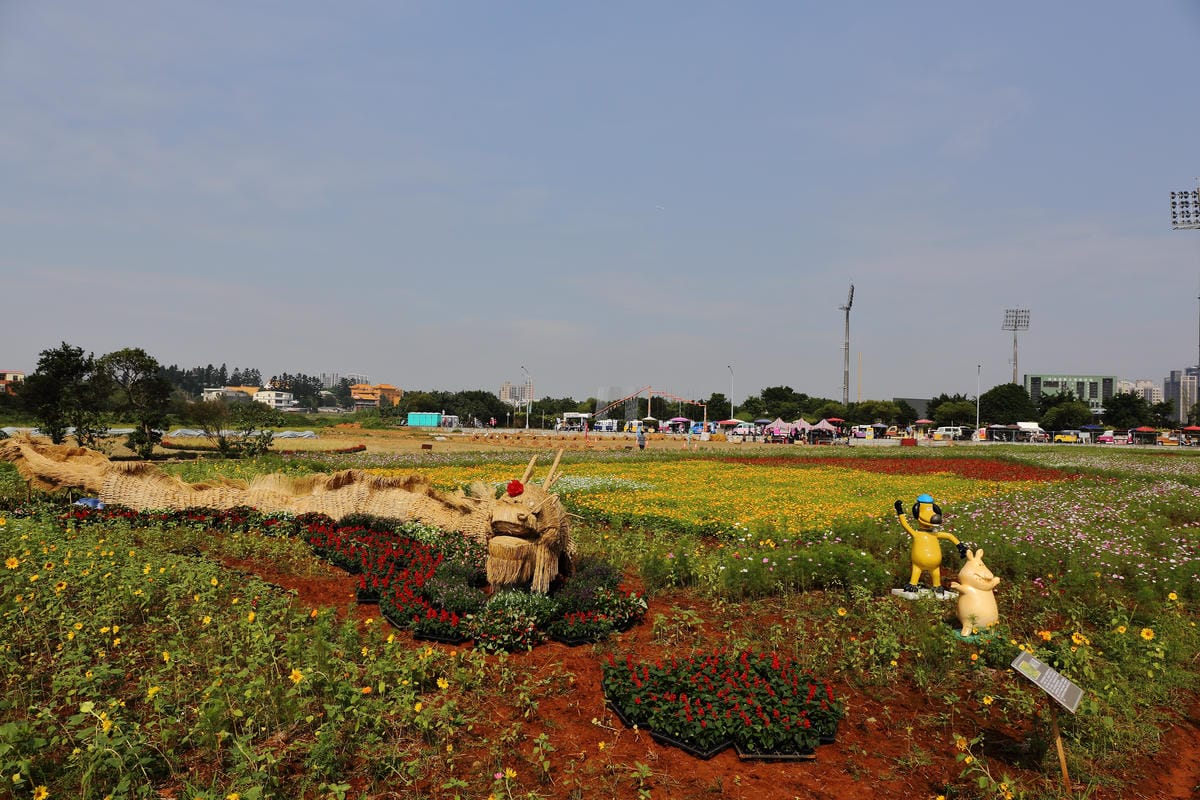 【遊。桃園】2016桃園花彩節～桃園5大花區，輪流綻放，遇見冬季最美的幸福！（大溪區+中壢區搶先看）　