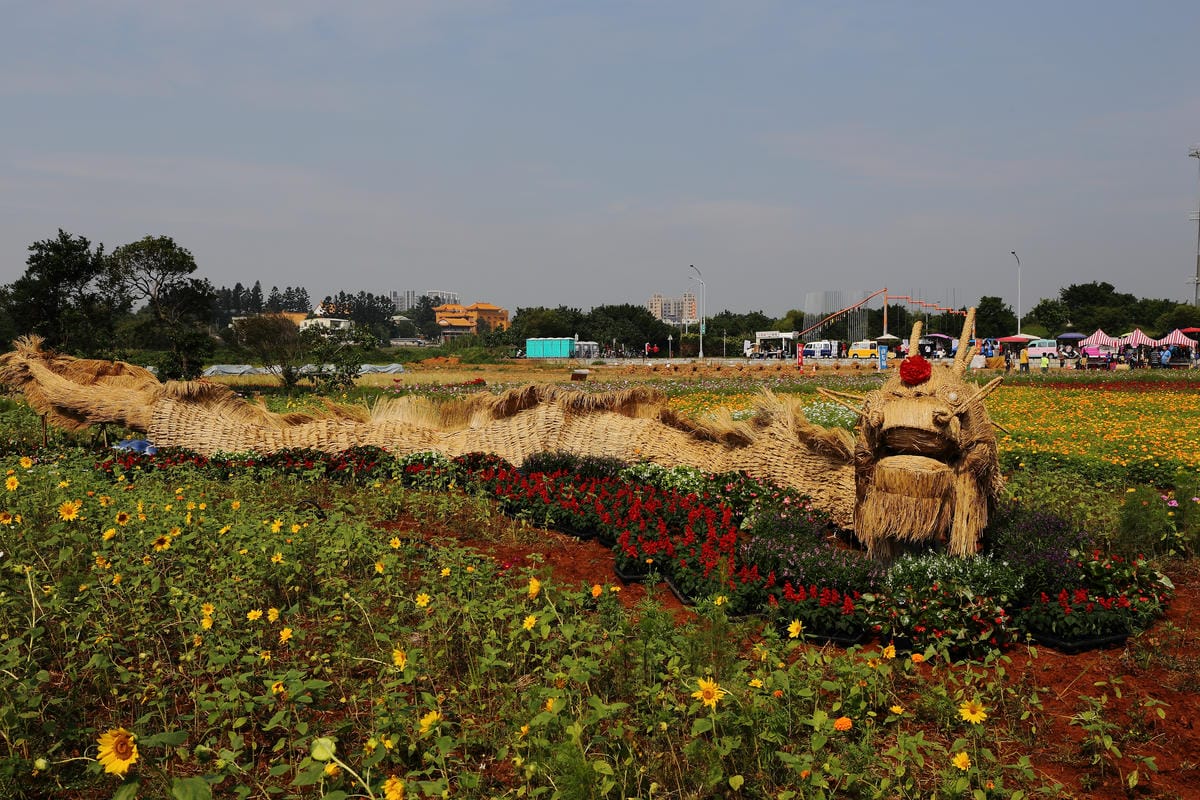 【遊。桃園】2016桃園花彩節～桃園5大花區，輪流綻放，遇見冬季最美的幸福！（大溪區+中壢區搶先看）　