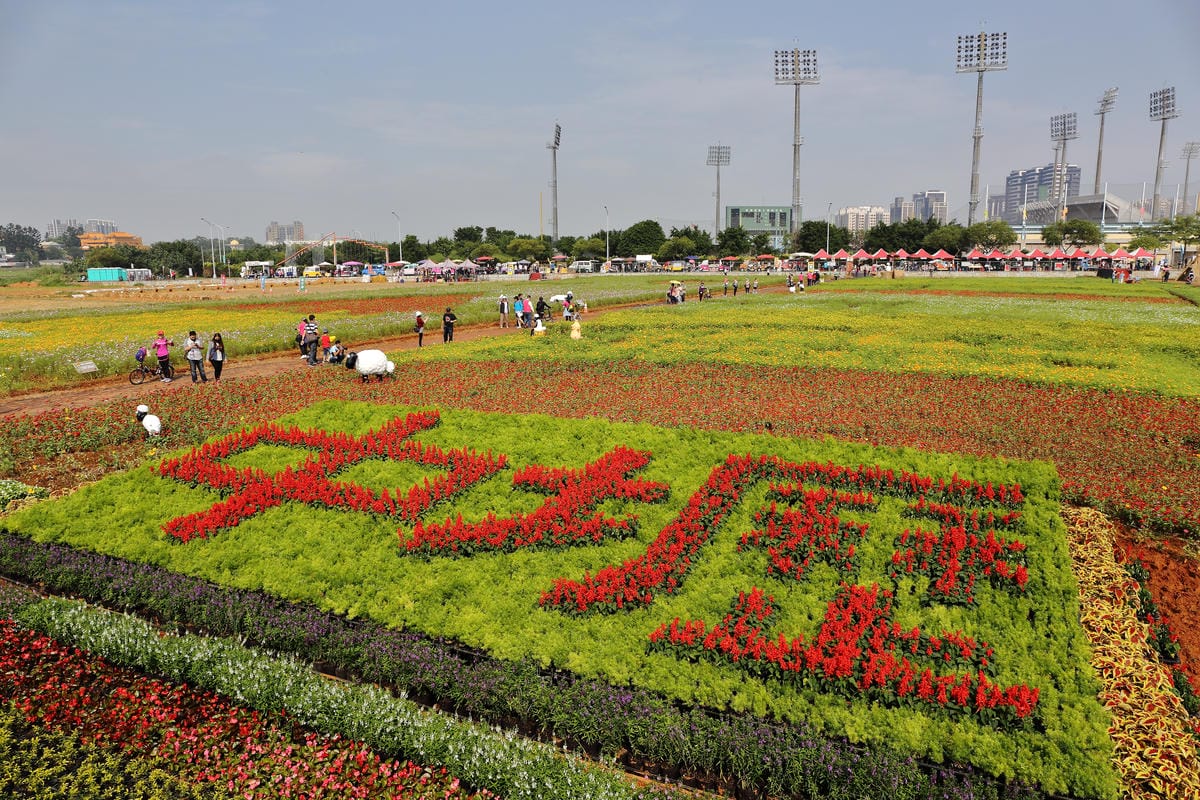 【遊。桃園】2016桃園花彩節～桃園5大花區，輪流綻放，遇見冬季最美的幸福！（大溪區+中壢區搶先看）　