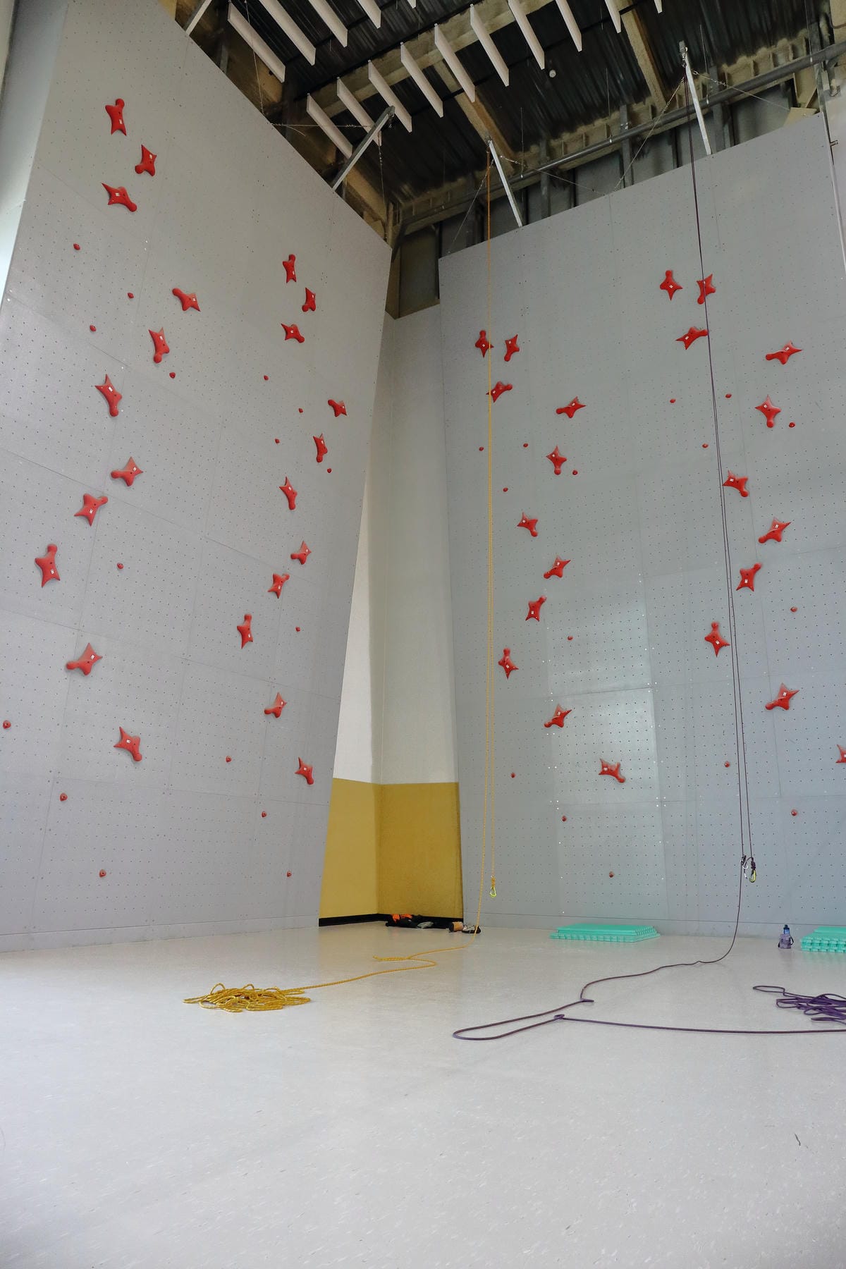 【活力永和】新北市永和國民運動中心～你今天運動了沒？逗陣來練功，不分族群喜好運動者的好去處！