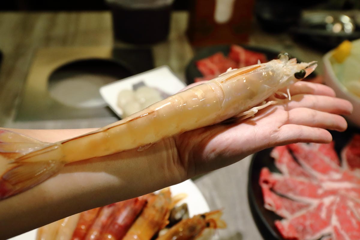 【食。台北】三冰九鍋～食尚玩家大胃王挑戰/台北松山火鍋推薦/比手臂還要粗的國王蝦(已歇業)