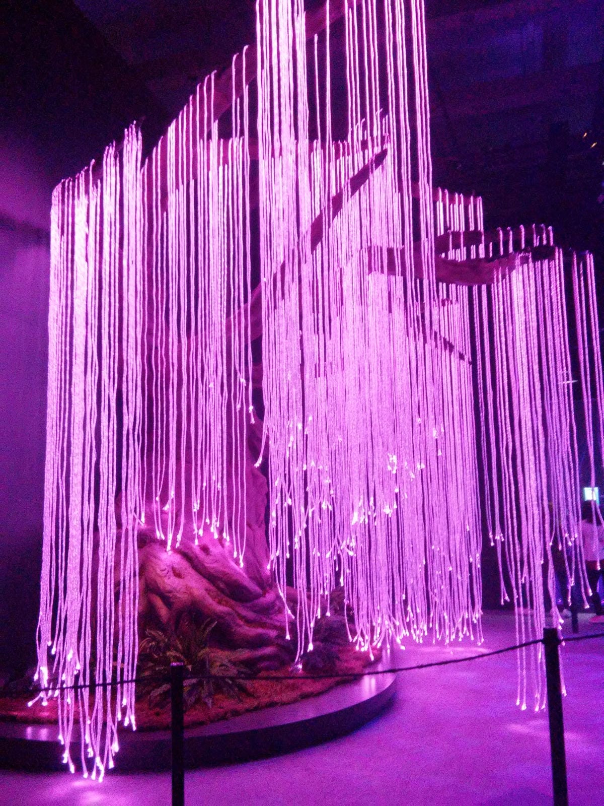 【遊。台北】「阿凡達：探索潘朵拉世界特展」全球首站～身歷其境電影場景，全新的頂尖互動式展覽，搶先看！