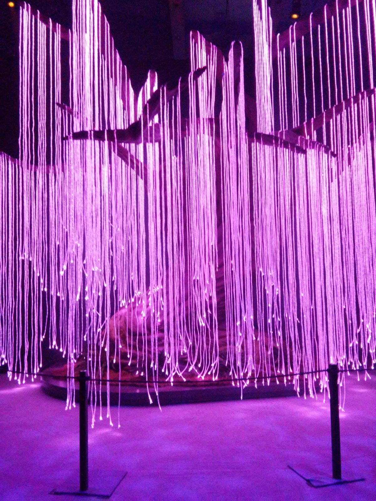 【遊。台北】「阿凡達：探索潘朵拉世界特展」全球首站～身歷其境電影場景，全新的頂尖互動式展覽，搶先看！