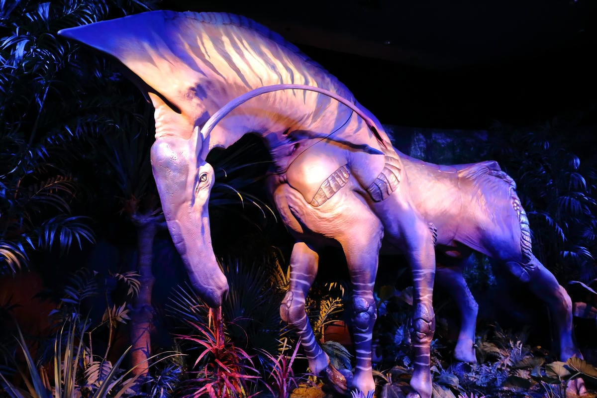 【遊。台北】「阿凡達：探索潘朵拉世界特展」全球首站～身歷其境電影場景，全新的頂尖互動式展覽，搶先看！