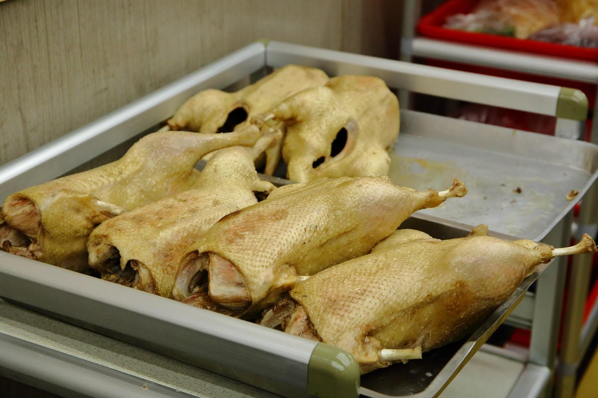 【食。板橋】鐘及美味-斗六當歸鴨～隱藏版鴨片飯，不輸五星級料理的鴨肉口感！來一碗當歸鴨一年四季的溫補的好朋友！