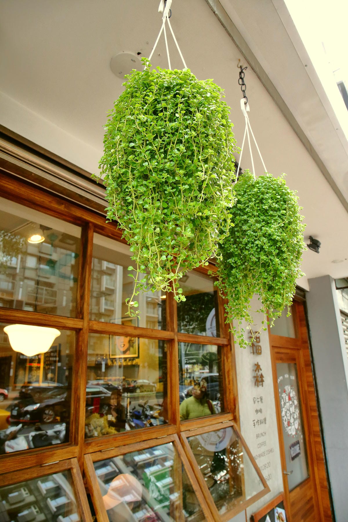 【食。中壢】福森咖啡 – 中壢海華店 Fussencafe’～IG美照打卡新地標！文青必訪！一起在老宅裡享受美味的早午餐吧！(已歇業)