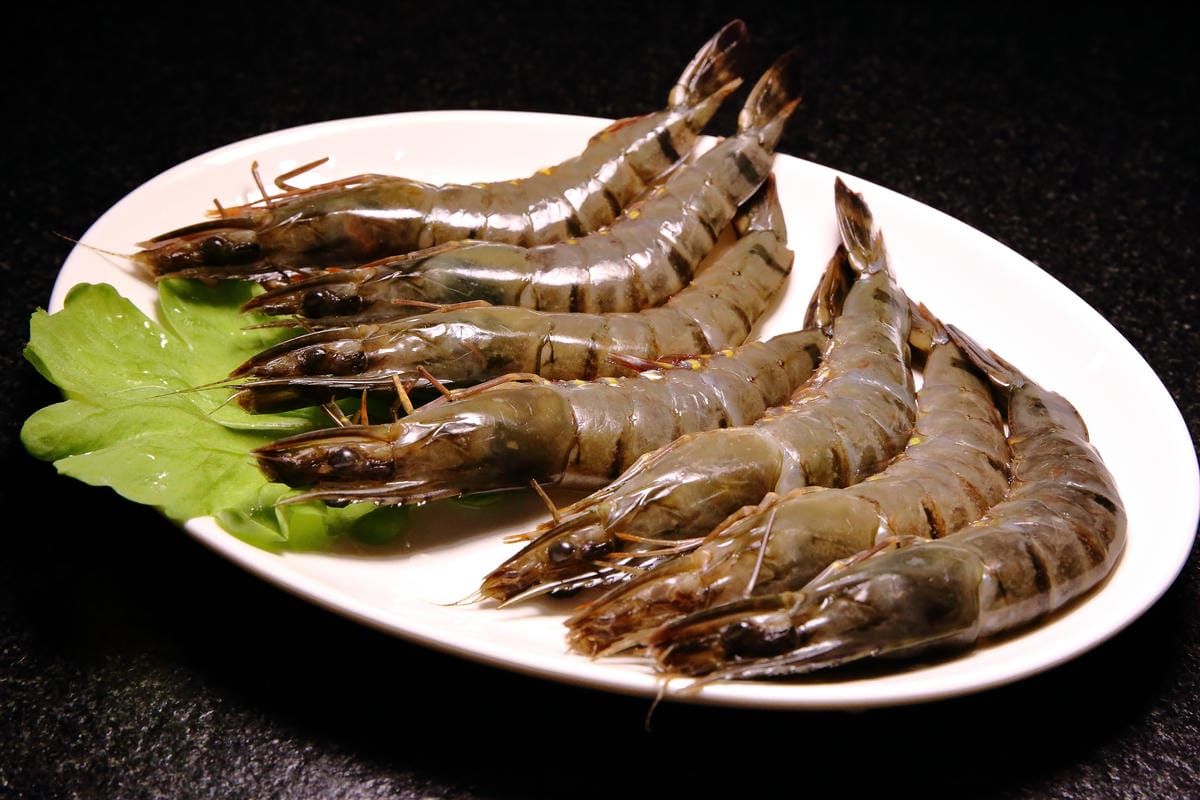 【食。台北】肉多多火鍋-肉品專賣店～就是狂！巨無霸肉盤！沒吃到真的會遺憾！