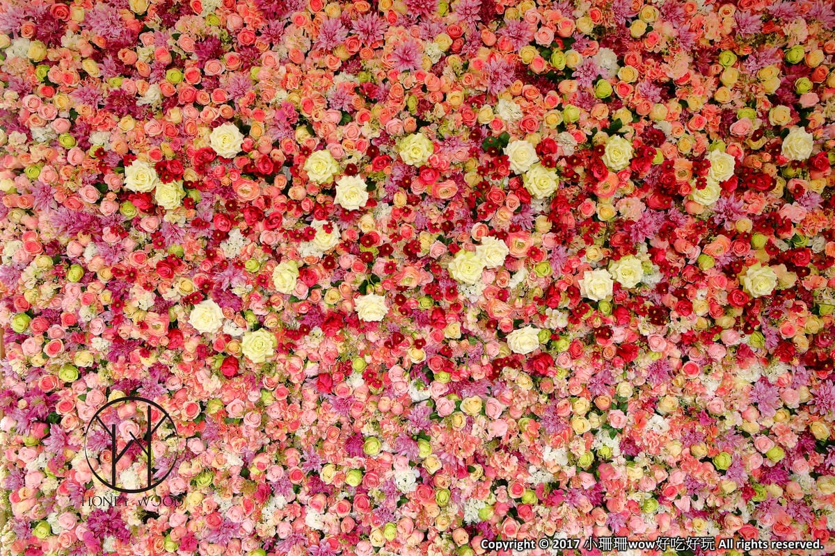 【食。平鎮】HoneyWood Cafe～IG新熱門打卡景點出爐！非拍不可！夢幻玫瑰花牆讓你拍個夠！