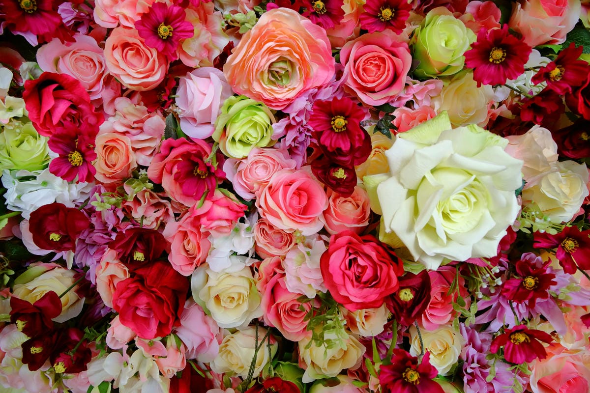 【食。平鎮】HoneyWood Cafe～IG新熱門打卡景點出爐！非拍不可！夢幻玫瑰花牆讓你拍個夠！